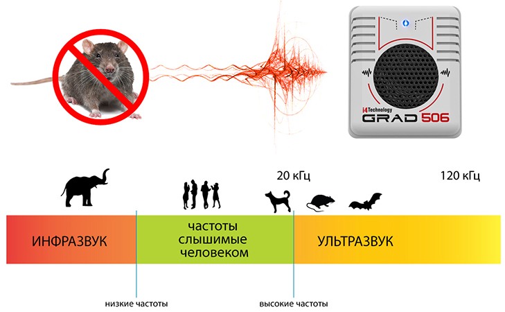 Ультразвуковой отпугиватель грызунов 